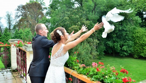 Hochzeiten